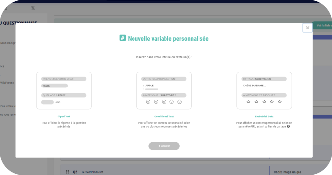 a propos des variables personnalisees
